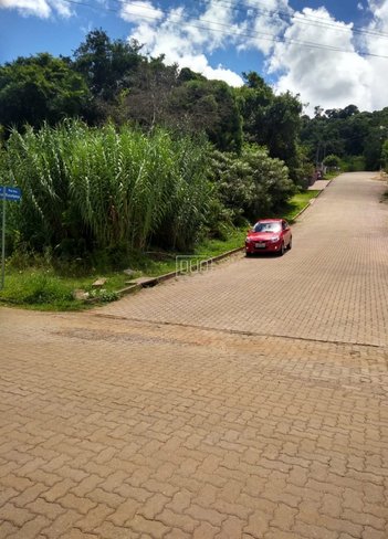 land_lot em Rua dos Eucaliptos, Vale Verde - Nova Petrópolis - RS