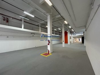 business em Avenida Jabaquara, Mirandópolis - São Paulo - SP