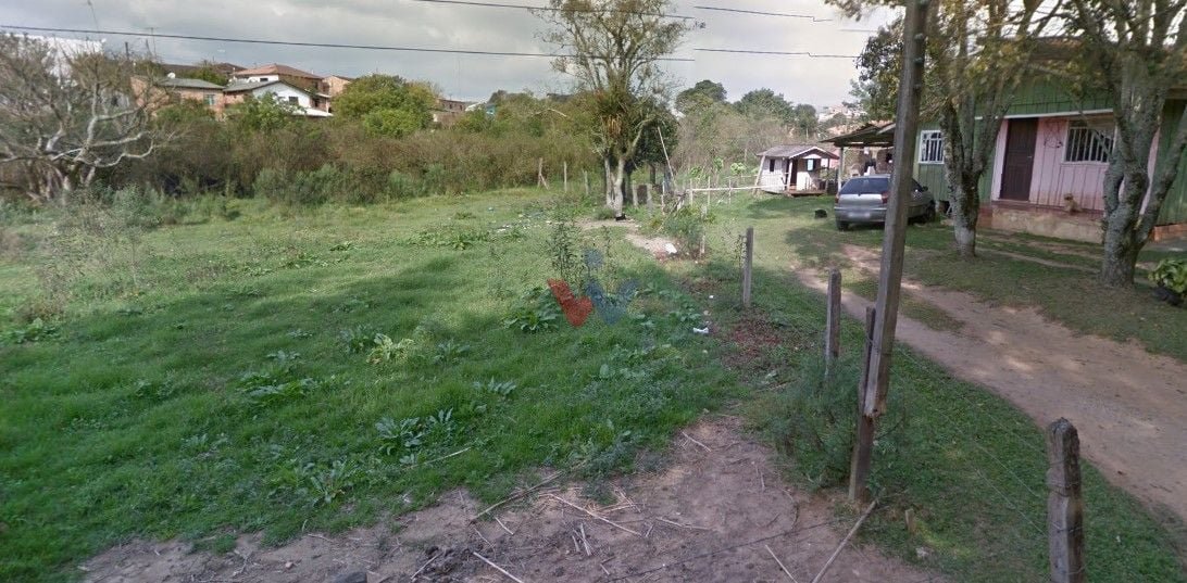 image-0