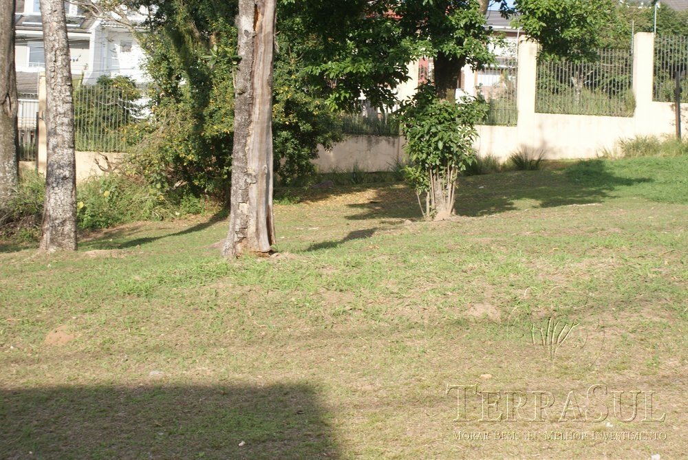 00. LOTE 57