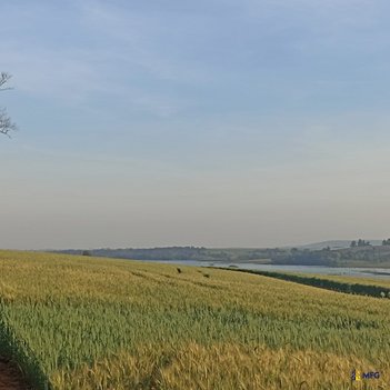 agricultural em Área Rural, Área Rural de Itaporanga - Itaporanga - SP