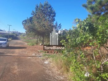 land_lot em Rua Doutor Waldemar Steudel, Estrela - Ponta Grossa - PR