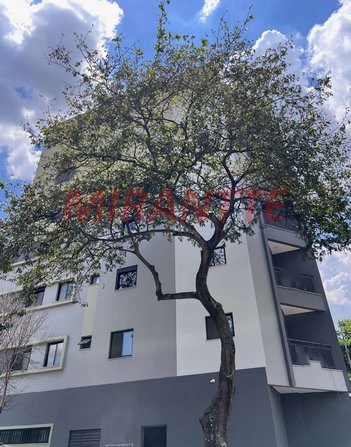 apartment em Rua Maria Curupaiti, Vila Ester (Zona Norte) - São Paulo - SP