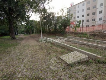 land_lot em Avenida Protásio Alves, Morro Santana - Porto Alegre - RS