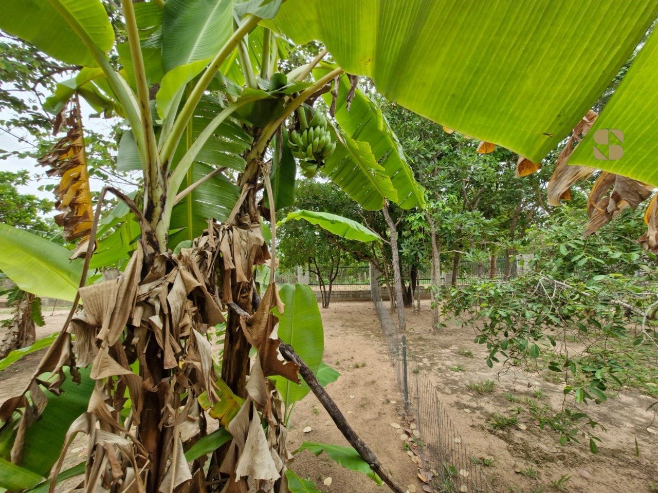 Imagem do WhatsApp de 2025-10-30 à(s) 17.28