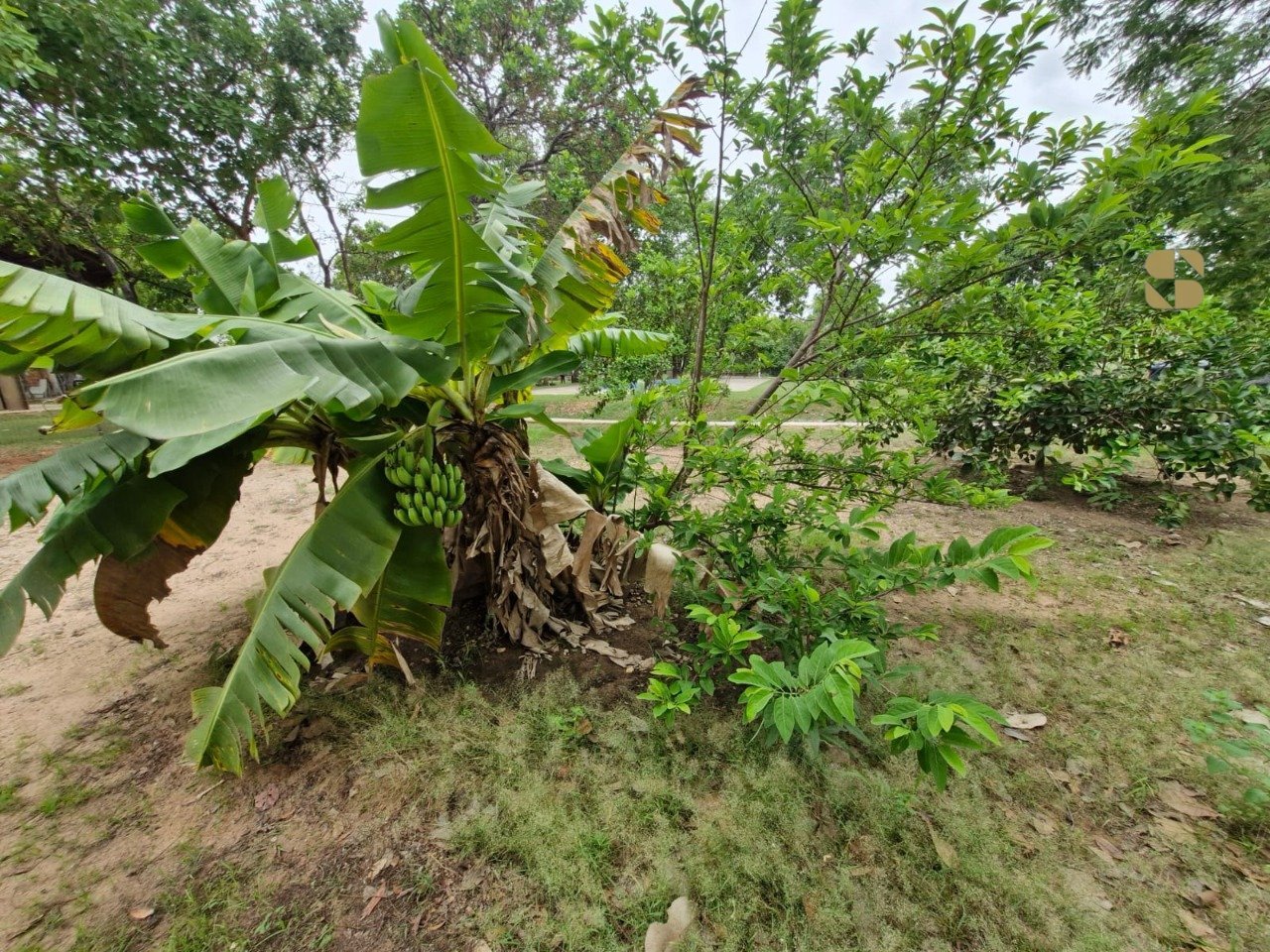 Imagem do WhatsApp de 2025-10-30 à(s) 17.28