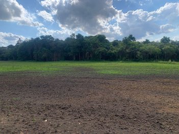 land_lot em Área Rural, Área Rural de Fazenda Rio Grande - Fazenda Rio Grande - PR