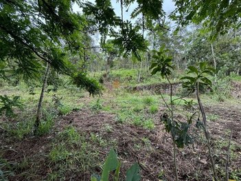 land_lot em Estrada Vargem Grande, Vargem Grande - Teresópolis - RJ