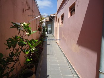 land_lot em Avenida Piassanguaba, Planalto Paulista - São Paulo - SP