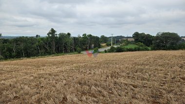 land_lot em Rua Manoel Gonçalves Ferreira, Guajuvira - Araucária - PR