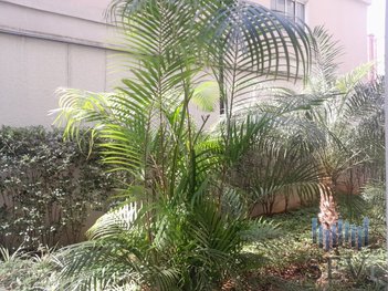 apartment em Rua Caramuru, Saúde - São Paulo - SP