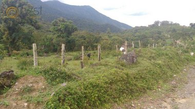 land_lot em Rodovia BR-116, Paiol de Baixo - Campina Grande do Sul - PR