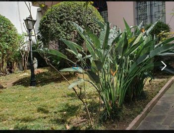 house em Rua Rita Joana de Sousa, Brooklin Novo - São Paulo - SP