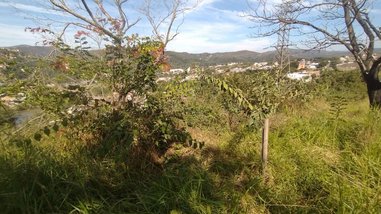 land_lot em Rua Cônego Roussin, Villa Real - Sabará - MG