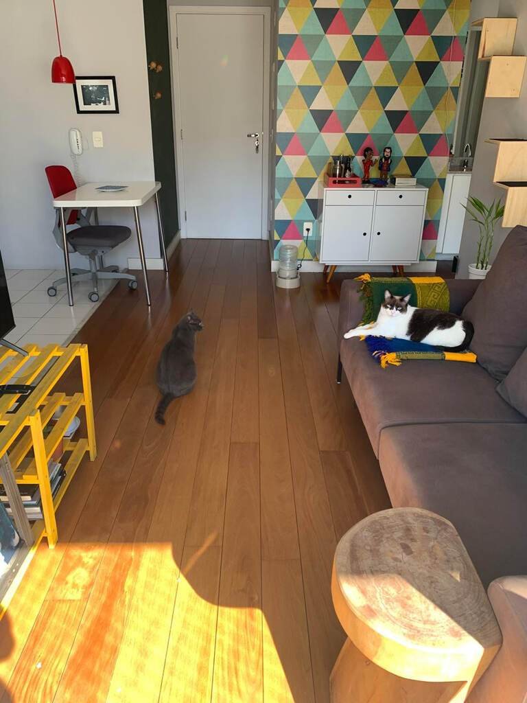 img3