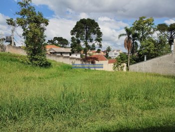 land_lot em Rua Modesto Piccoli, Tingui - Curitiba - PR