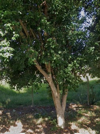 land_lot em Rua Gesse Ávila de Souza, Feitoria - São Leopoldo - RS