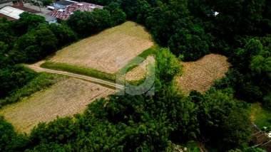 commercial_building em Avenida São Borja, Fazenda São Borja - São Leopoldo - RS