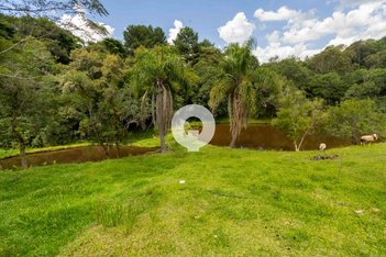 agricultural em Rua João Barbosa Mendes, Centro - Mandirituba - PR