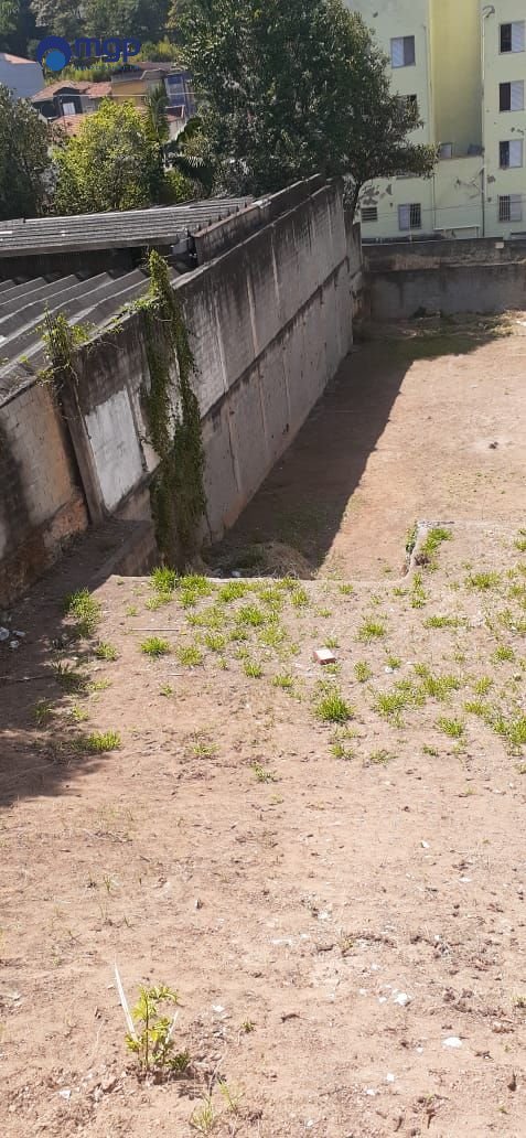 | Foto_migracao | 2