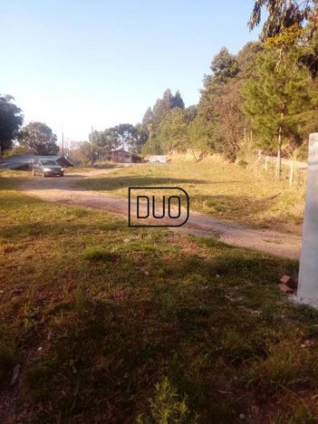 land_lot em Rua Luiz Tomazelli, Santa Lúcia do Piaí - Caxias do Sul - RS