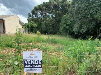 land_lot em Rua Estados Unidos, Marau - Marau - RS