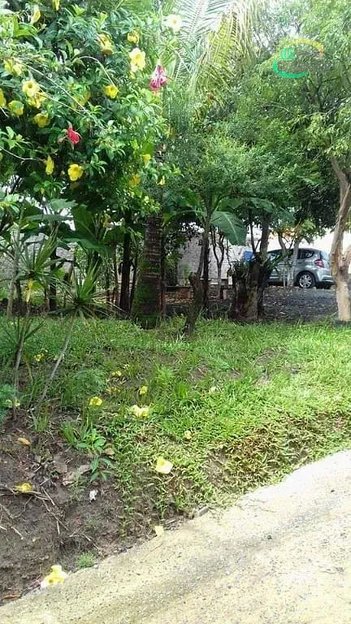 agricultural em Rua Ruth Hesse, Jardim São José - Campinas - SP