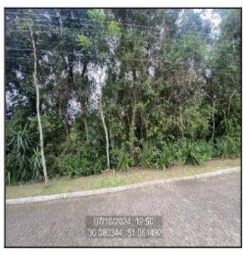 land_lot em Rua Cantegril, Querência - Viamão - RS