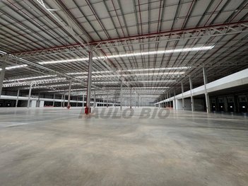 industrial em Avenida Antônio Cardoso, Parque Jaçatuba - Santo André - SP