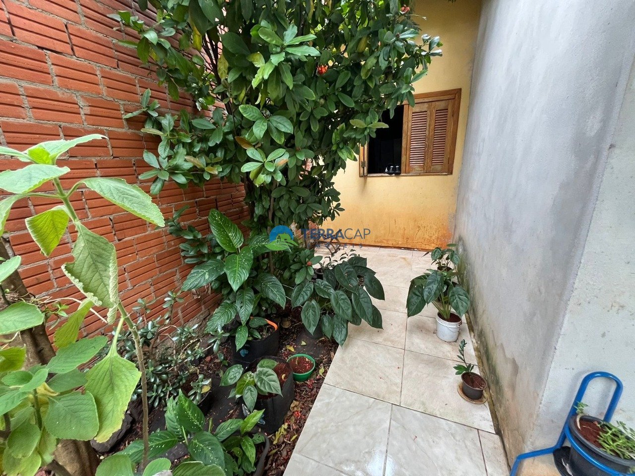 WhatsApp Image 2024-01-20 at 10.00