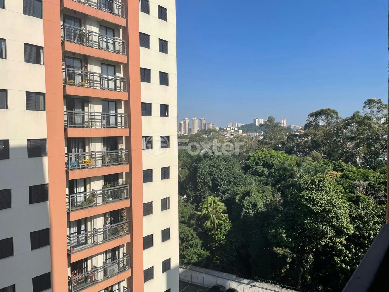 chacara dos passaros 05.jpeg