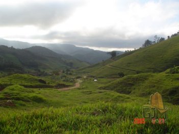 land_lot em SC-407, Santa Filomena - São Pedro de Alcântara - SC