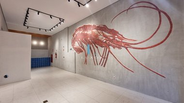 business em Rua Professor Moraes, Savassi - Belo Horizonte - MG