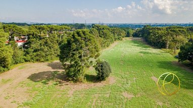 land_lot em Rodovia BR-277, Roseira de São Sebastião - São José dos Pinhais - PR