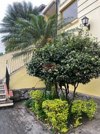 house em Rua Doutor Numa Pereira do Vale, Aclimação - São Paulo - SP