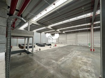 industrial em Avenida dos Estados, Parque Jaçatuba - Santo André - SP