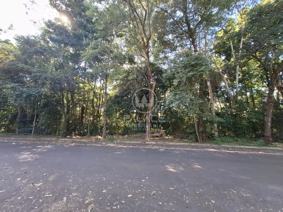 image-0