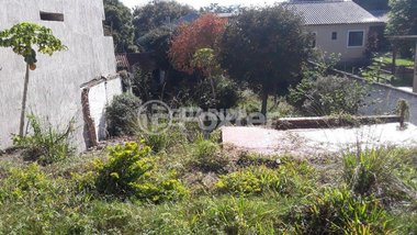 land_lot em Rua Matias José Bins, Chácara das Pedras - Porto Alegre - RS