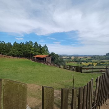 agricultural em Avenida Vinte e Oito de Maio, Centro - Santa Clara do Sul - RS