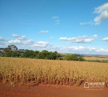 commercial_property em PR-317, Assis Chateaubriand - Assis Chateaubriand - PR