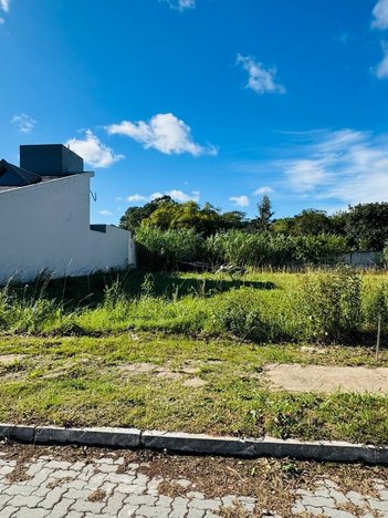 land_lot em Rua Tomaz Soares Vieira, Laranjal - Pelotas - RS