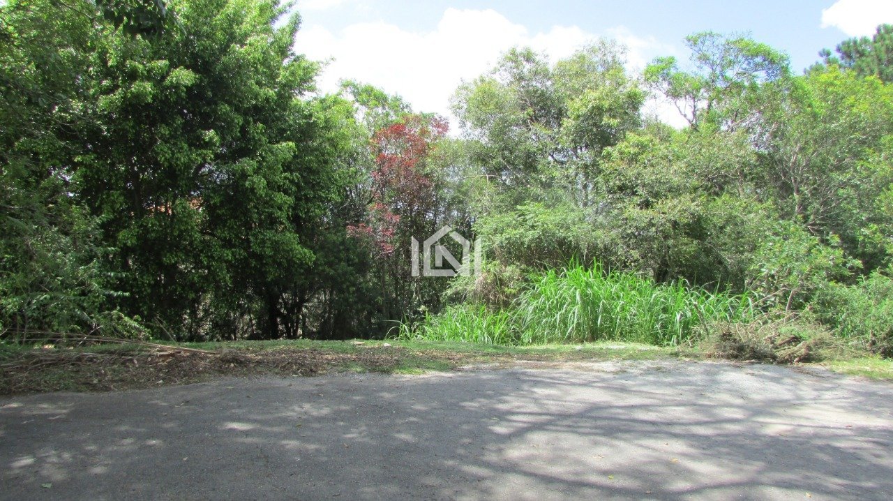 lote a venda no patrimonio do carmo