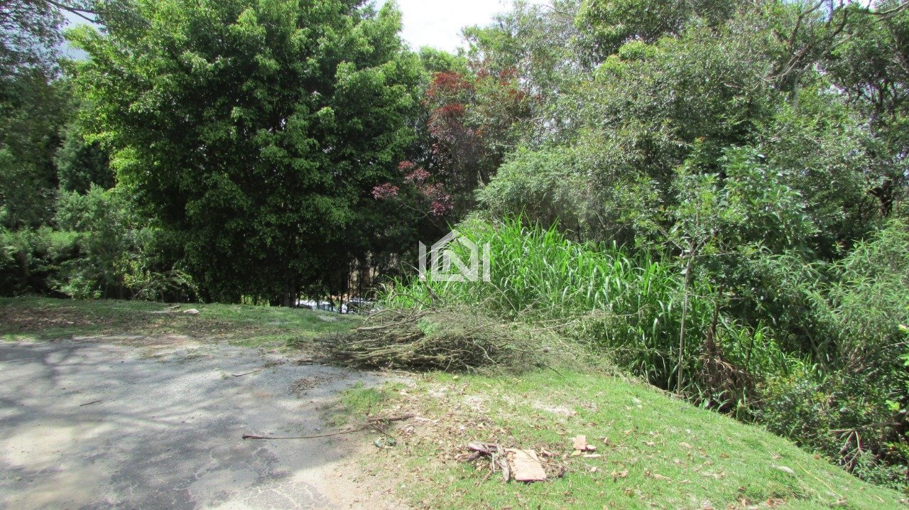 lote a venda no patrimonio do carmo