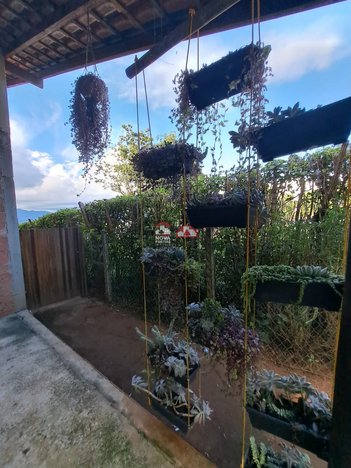 land_lot em Avenida Padre Hugo Bertonazzi, Quiririm - Taubaté - SP