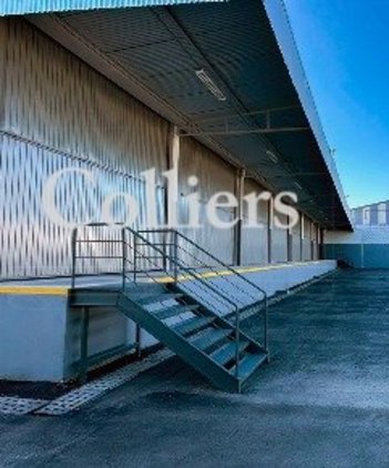 industrial em Mario Haberfeld, Parque Novo Mundo - São Paulo - SP