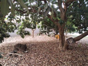 house em Rua Glauco Velasquez, Parque Santa Cecília - Piracicaba - SP