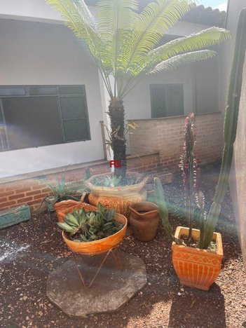 house em Rua Capitão Mileu Teófilo de Oliveira, Jardim Heitor Rigon - Ribeirão Preto - SP