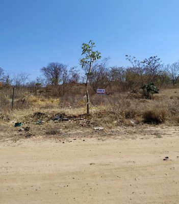 land_lot em Rua das Bromélias, Salinas - Salinas - MG