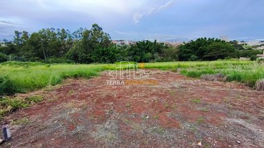 land_lot em Rua Ernestina Vilela Castro, Piumhi - Piumhi - MG