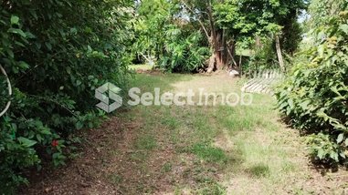 agricultural em Área Rural, Área Rural de Cerquilho - Cerquilho - SP